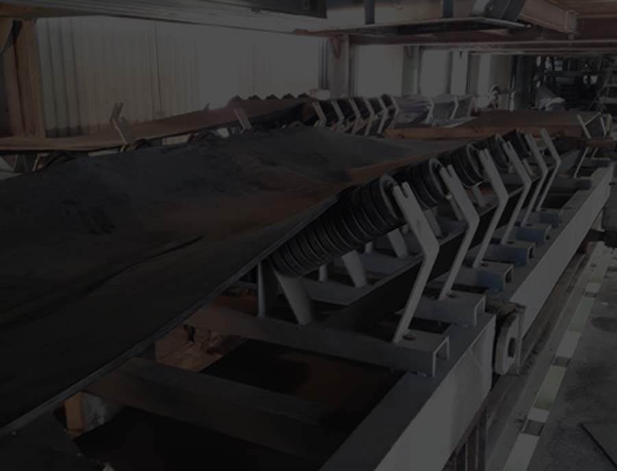 Weighing Roller Conveyor